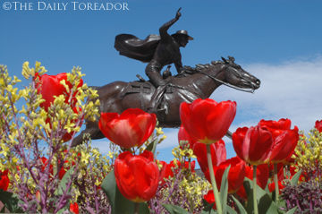 Springtime Raider